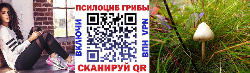 Псилоцибиновые грибы MAGIC MUSHROOMS  Ленск 